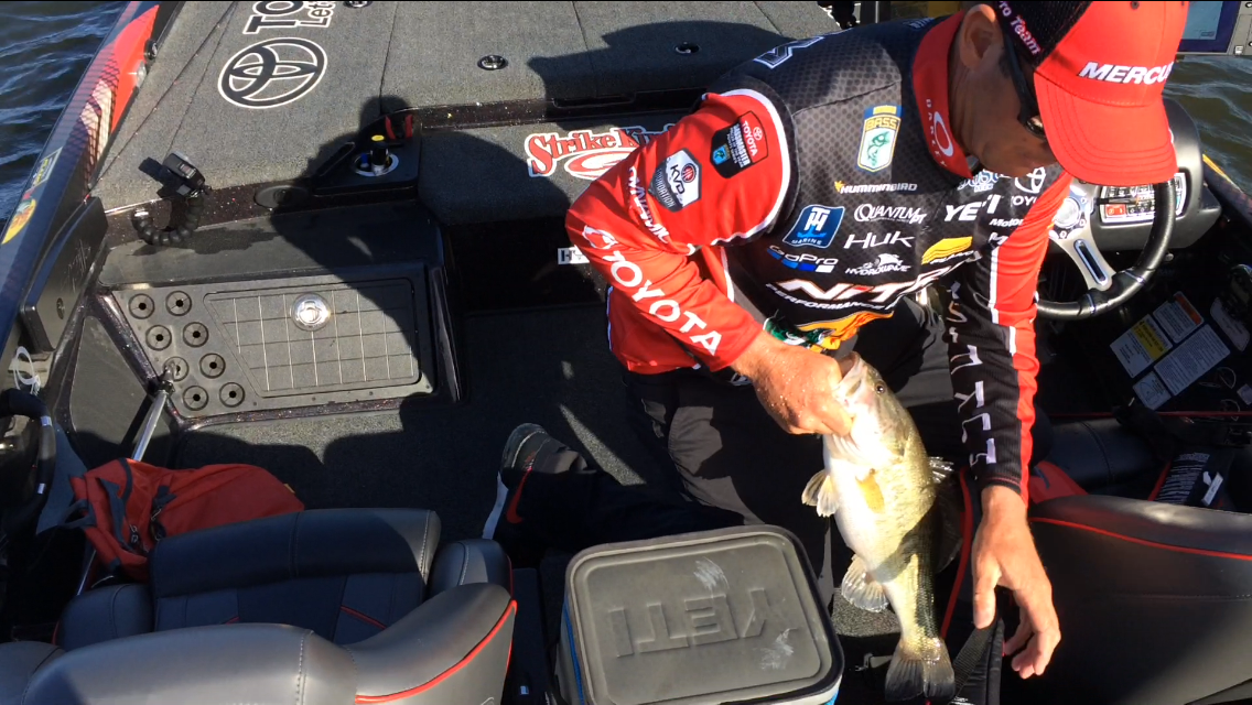 ...KVD was able to add his first fish of the day into the livewell.