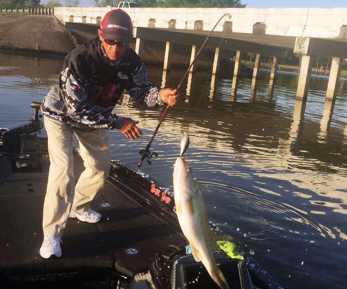 Charlie Hartley swings into action and misses and then connects on a Lake Conroe Greenback. Unfortunately, this one comes up a half scale short and missed the bus downtown.