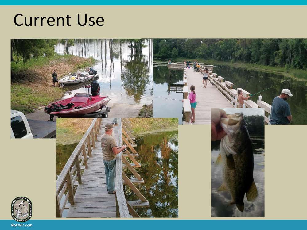 Suwannee Lake Fish Management Area was reopened in June 2016. In the first month it was open, an average of more than 350 anglers per week visited the lake. As of December 2016, approximately 150 anglers per week were visiting the lake. Anglers are catching bluegill, catfish and largemouth bass up to 4 pounds.