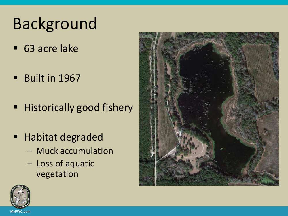 However, over time the habitat had degraded and the quality of the fishing declined. As a result, very few anglers visited the lake.
