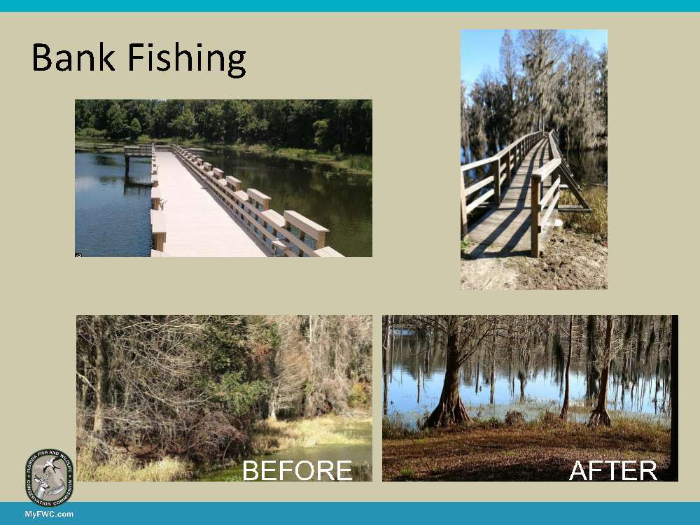 While the lake was being renovated, bank fishing access was increased and improved. One fishing pier was re-decked, and one fishing pier was completely rebuilt. Dense underbrush was removed from most of the west side of the lake to allow bank fishing access.