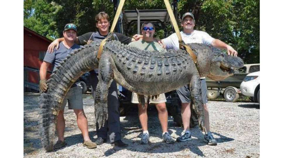 Wanna see some big ole lizards? Alton Jones showed us an 8-footer warming itself on a log during practice this week, but the 697-pound gator caught last year just outside the Rez proves respecting the water is critical here. 