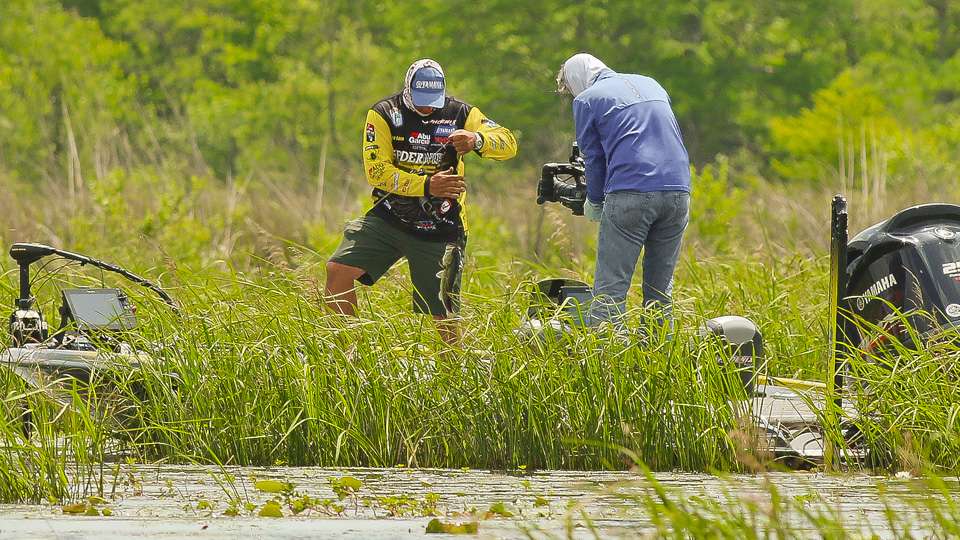 This one would give him about 10 pounds.