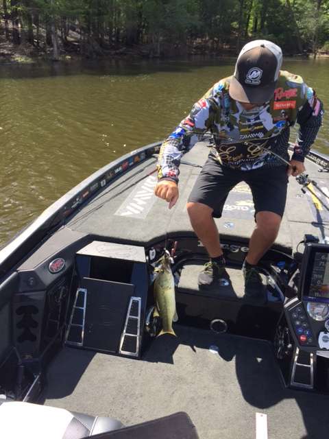 Hite puts number 3 in the boat. Been a grind so far this morning. Hopefully fixing to pick up.