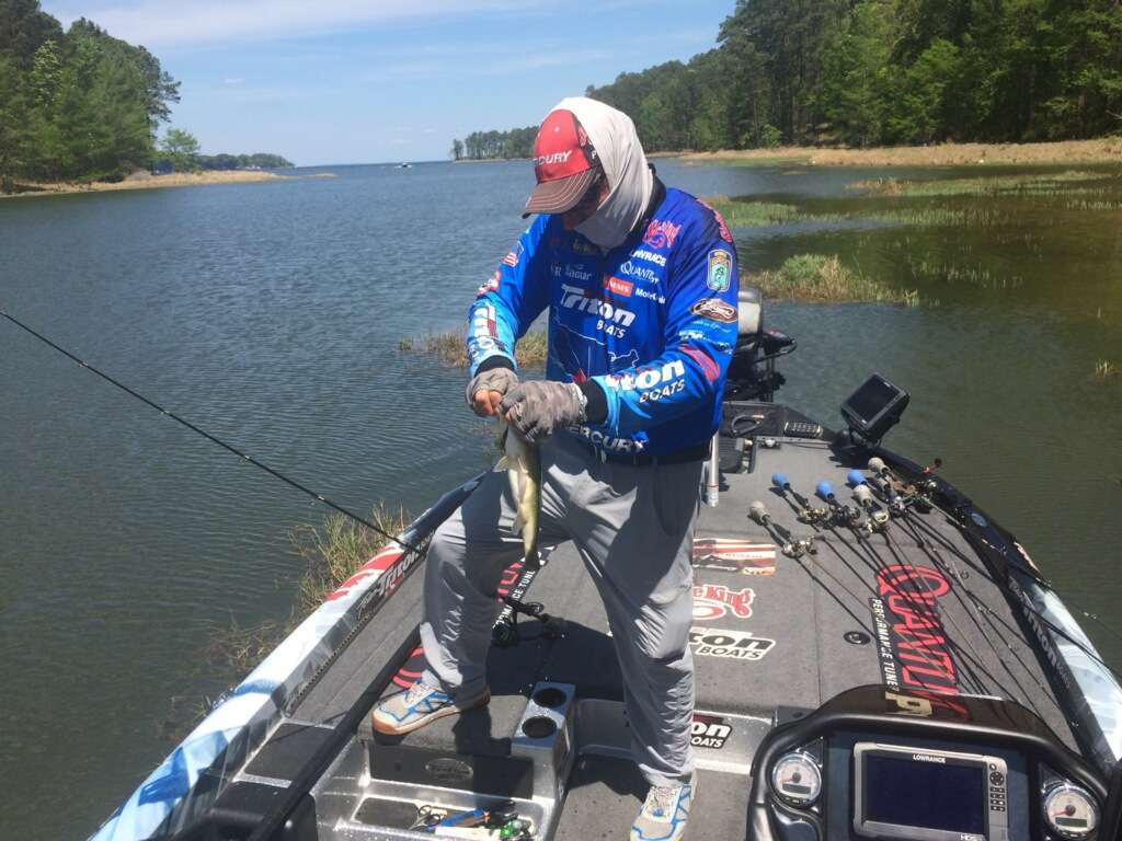 Shaw Grigsby working hard to get a limit. 