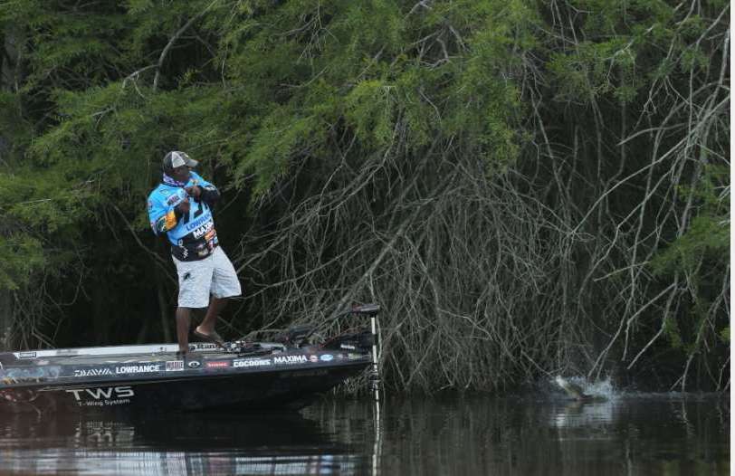 Monroe flipped shallow cover with Â¾- and Â½-ounce jigs in compiling his third-place total.