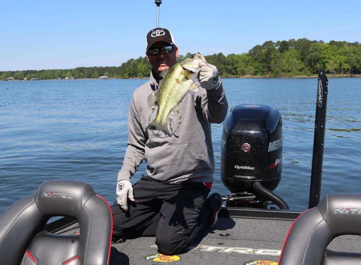 ...Made for a nice upgrade.