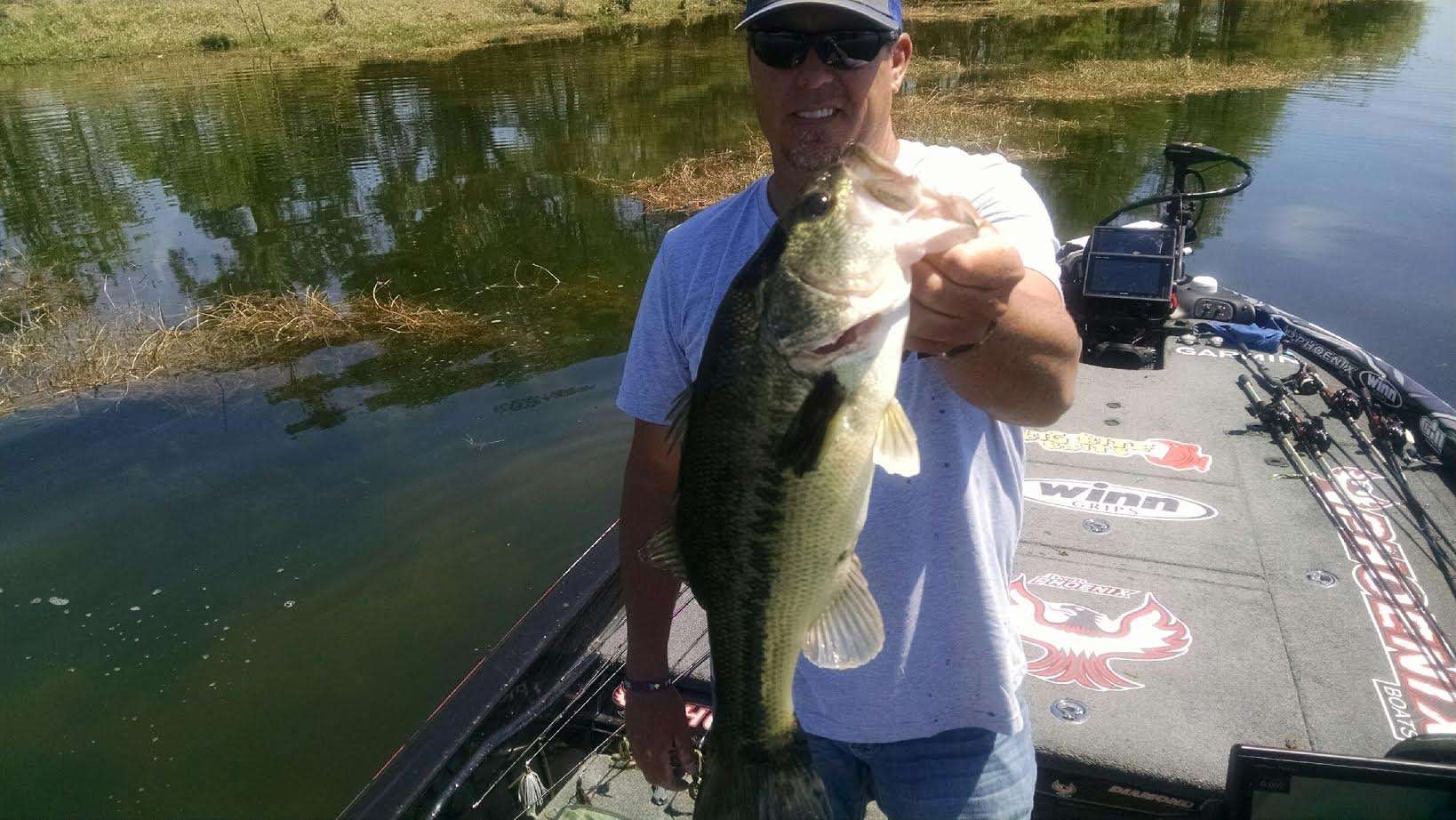 Russ Lane is culling.