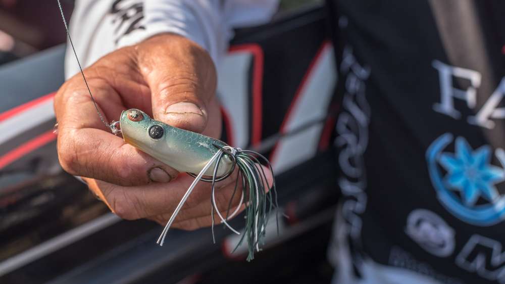 The two main choices were a Booyah Poppin Pad Crasher Frog and the Booyah Pad Crasher. For both baits he chose the Shad pattern. 
