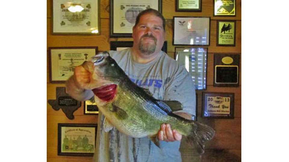 Sam Rayburn is among Texasâ famed trophy largemouth fisheries, and a number of its bass have entered the stateâs ShareLunker program, including No. 562 here caught by Darrell Tompkins of Huffman, Texas on March 7, 2015. This fish weighed 14.32 pounds, was 26.25 inches long and had a girth of 22.25 inches. The Texas state record bass is Barry St. Clairâs 18.18-pounder caught from Lake Fork, and Rayburnâs best, Tommy Sheltonâs 16.8-pound lunker, ranks ninth all-time in Texas.