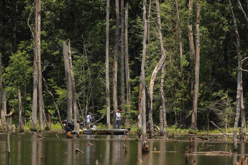 Bassmaster Elite Series pro James Niggemeyer and High School All-American Trace O'Dell fish some stump and the shoreline.