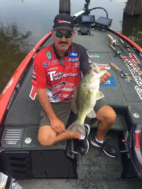Jared Lintner brings this hefty 4 pound, 12 ounce bass in the boat to bring his total for today to 15 pounds, 5 ounces.