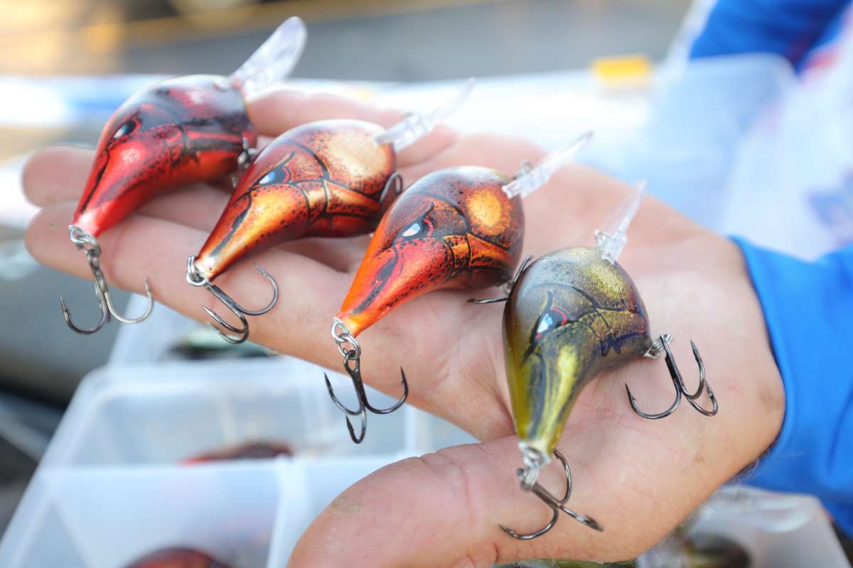 The world-famous Rapala DT-10 is a favorite choice for many anglers, including Wheeler.
