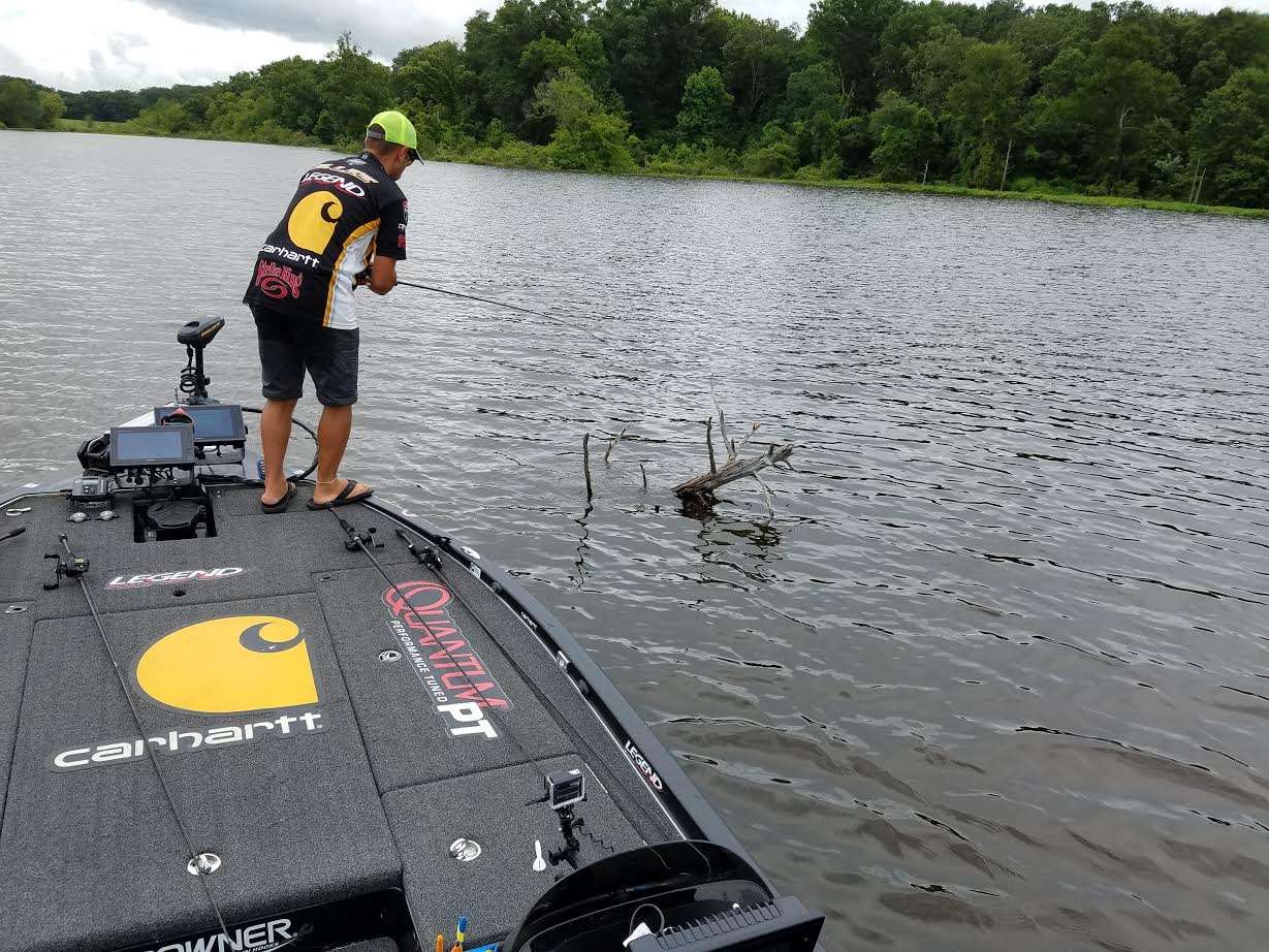 Matt Lee loses one that got wrapped up in the tree. 