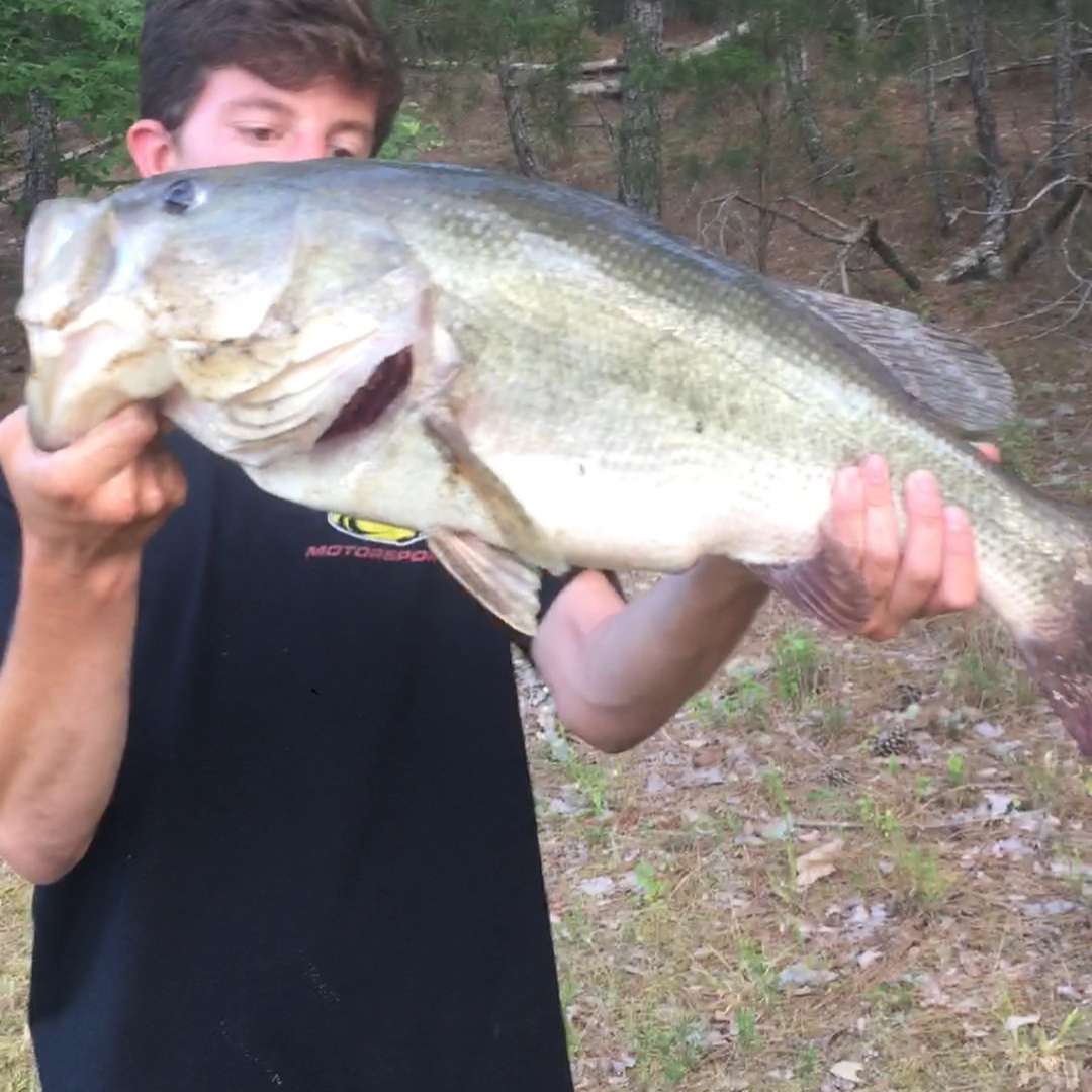 This bass produced an exciting memory for Britt Myers and his son, Britt. âCheck out the Giant my son caught! It took me 25 years to catch one this size. I just wish I had his luck. #heluckierâ¦â Myers said they didn't have a scale but he thought it to be in the 10-pound range. 