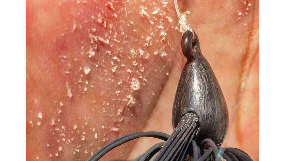 Chris Zaldain goes with the extreme close-up to show his swim jig war wounds. âWhat is it about a swim jig that is so effective? It's subtle but large presence? Growing up in Cali, we didn't throw them much but now I throw them everywhere I go!â It appears he was rather successful.