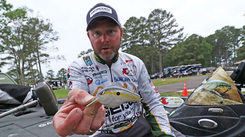 He said you've got to have a squarebill crankbait, or seven. This Spro rendition nicely fits the bill. Having multiple crankbaits in numerous colors is a good idea, especially if the bass are indicating a preference.  