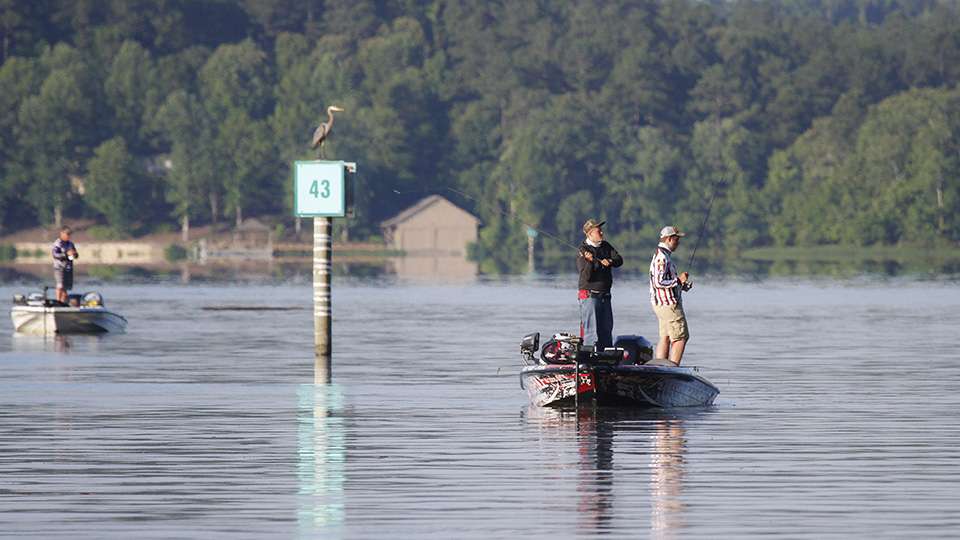 Teams were littered down the Coosa River impoundment.