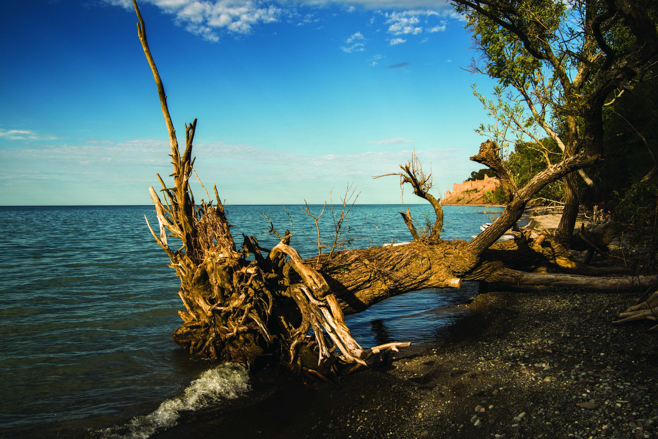 Watertown, a short drive from Henderson Bay, offers many vacation possibilities. The New York State Zoo at Thompson Park is small but worth your time. View river otters, owls, wolves, reptiles and more. Wash down fresh, warm, homemade donuts with the âbest cider aroundâ at Berrville Cider Mill. While you munch on a donut, walk around back and enjoy the waterfall. Gift items are also available. Adirondack River Outfitters has been providing whitewater adventures for 34 years so you can be assured of safe rafting over class 3 and 4 rapids down the Black River. The day ends with a chicken barbeque dinner. The Sci-Tech Museum provides a hands-on experience that will test your senses of smell and touch.