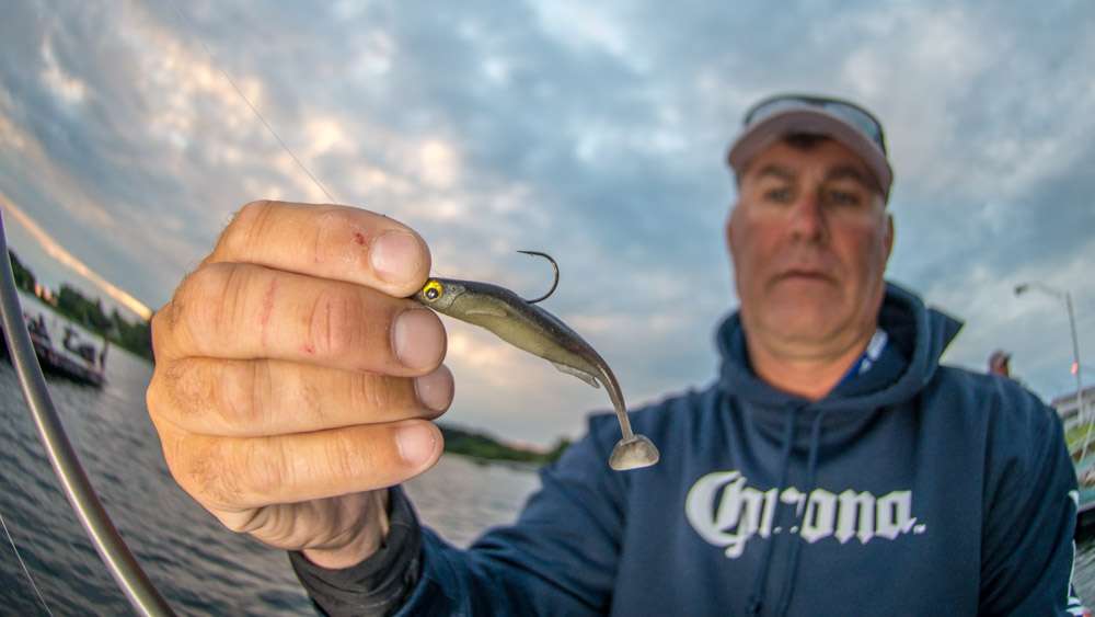 Coulter also used a 3-inch Megabass Spark Shad Swimbait, Ayu, rigged with a 1/8-ounce jig. 
