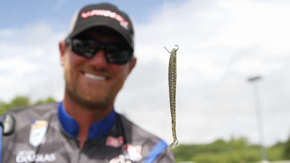 That is a No. 1 Gamakatsu Gama Drop/Split Shot Hook with a Biovex  Kolt Shad Tail, Watermelon Seed. A 3/8-ounce Reins TG Drop Shot Slim Weight completed the rig. 
