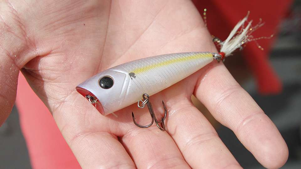 For topwater action he chose this Damiki D Pop 70, Real Shad. âIt worked best in calm conditions.â 
