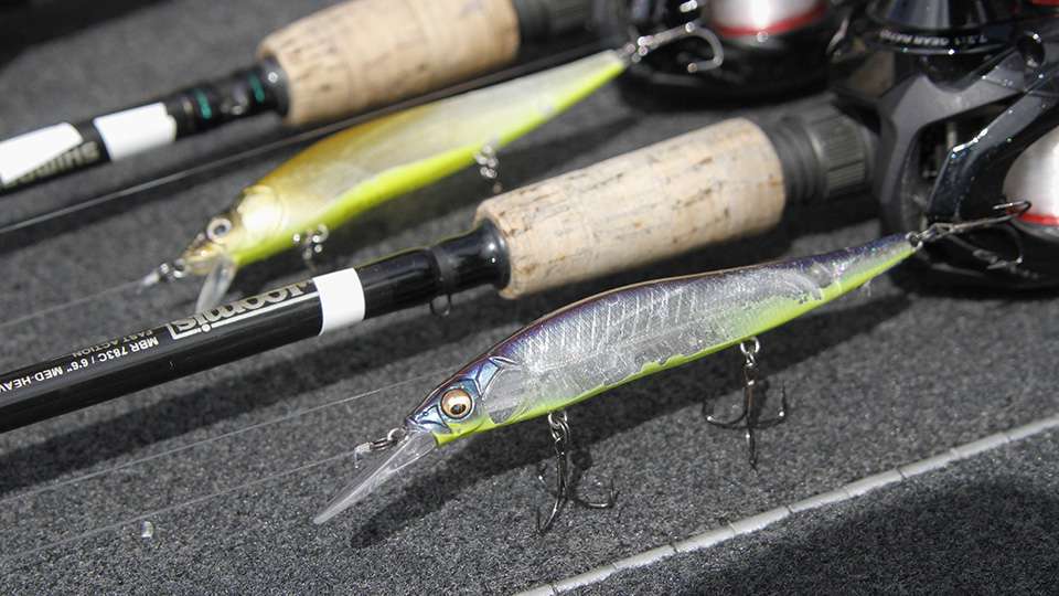 A top choice was a Megabass Ito Vision 110+1 Jerkbait. TLC pattern.  