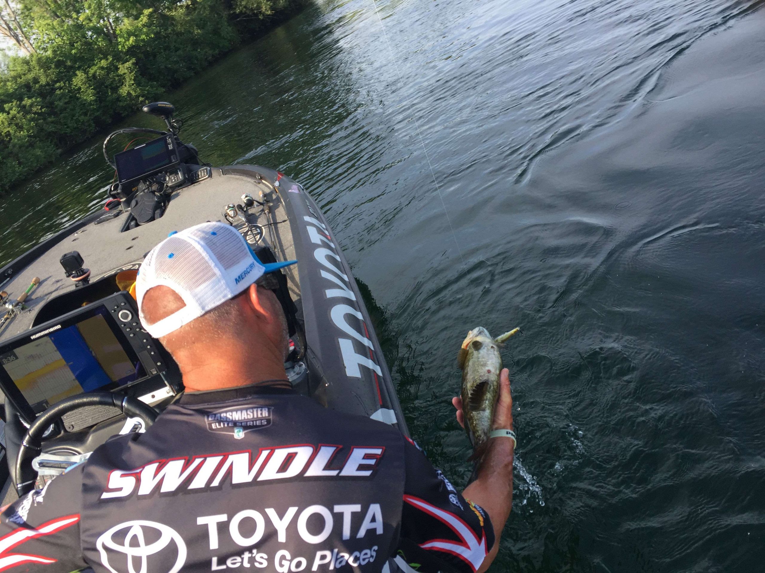 Big upgrade for Swindle, A 4-pounder. 