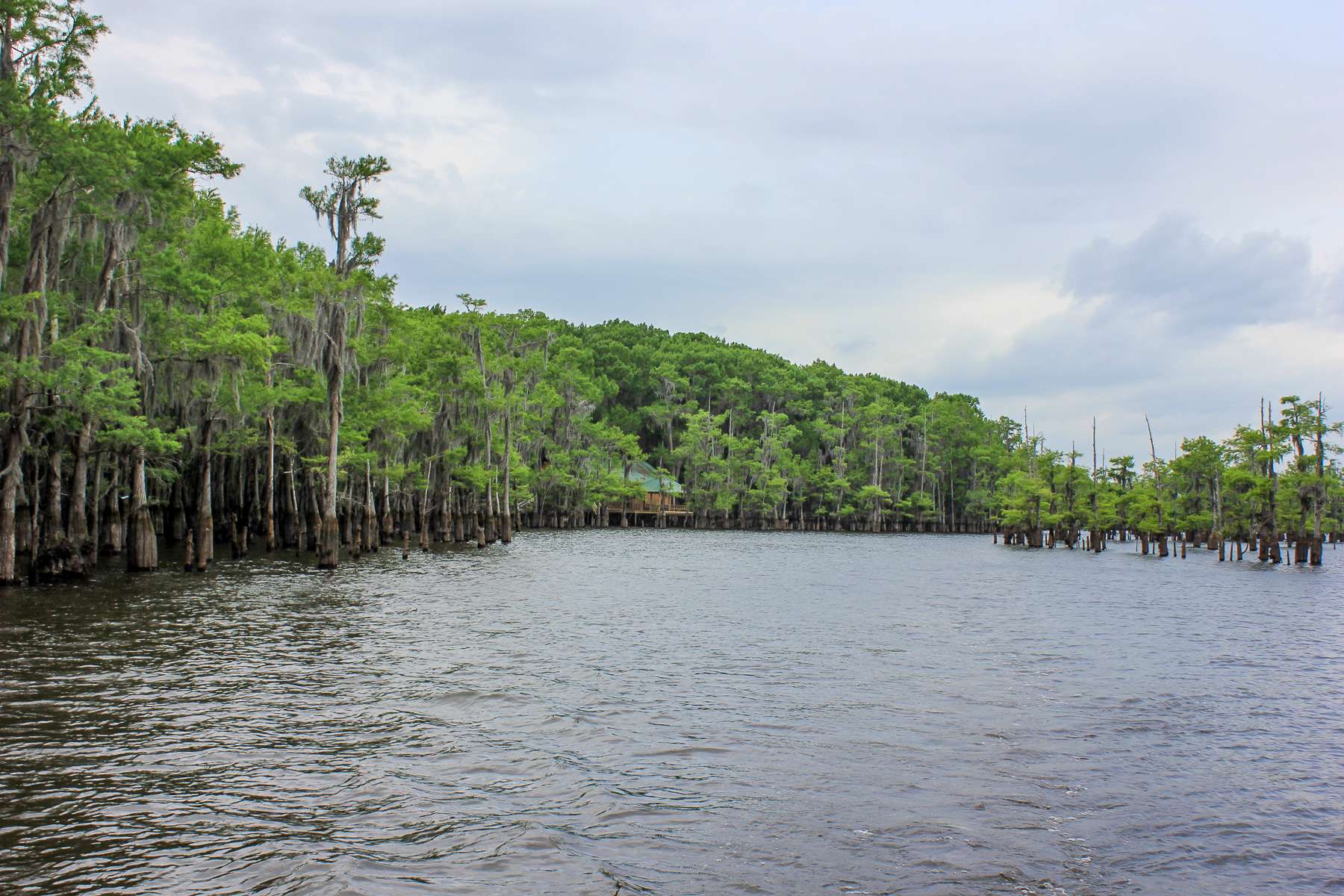 <h4>21. Lake Bistineau, Louisiana</h4>
 [15,500 acres] This sprawling, cypress-studded impoundment might not get the attention of other Louisiana reservoirs (think Toledo Bend and Caddo Lake), but there is some great fishing to be had here. The sleeper produced big during the B.O.S.S. team circuitâs April event with a 22.41-pound limit.
