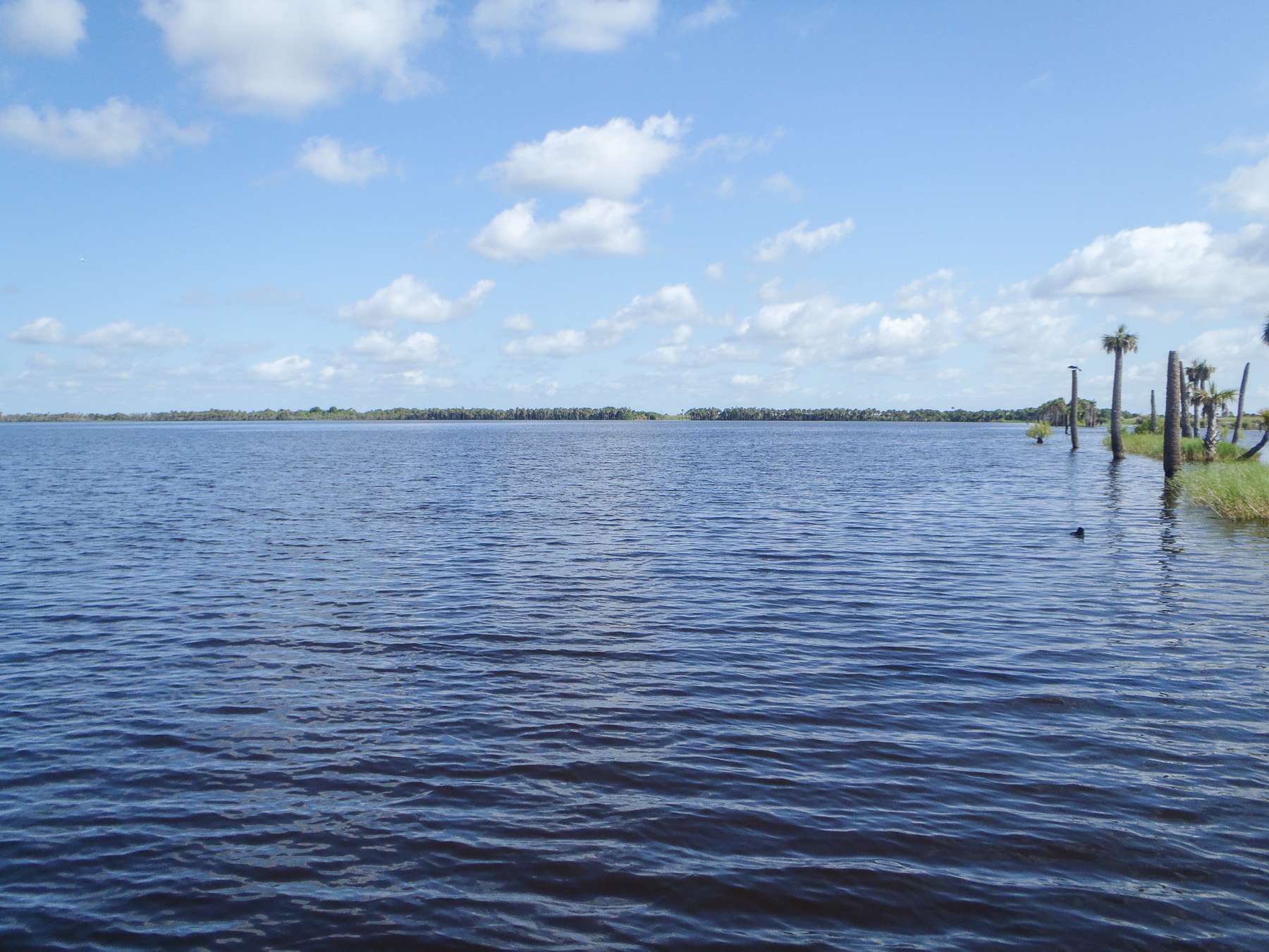 <h4>15. Stick Marsh/Farm 13, Florida  </h4>[6,500 acres] If you want to go hawg hunting, this may become your favorite destination in Florida. Itâs small but packed with big fish. For those who arenât too proud to use wild shiners, expect 30- to 40ish days with a lot of 5-pounders in the mix. Double-digit bass are here, as well; a 10-pounder was submitted to the Florida TrophyCatch program in March.