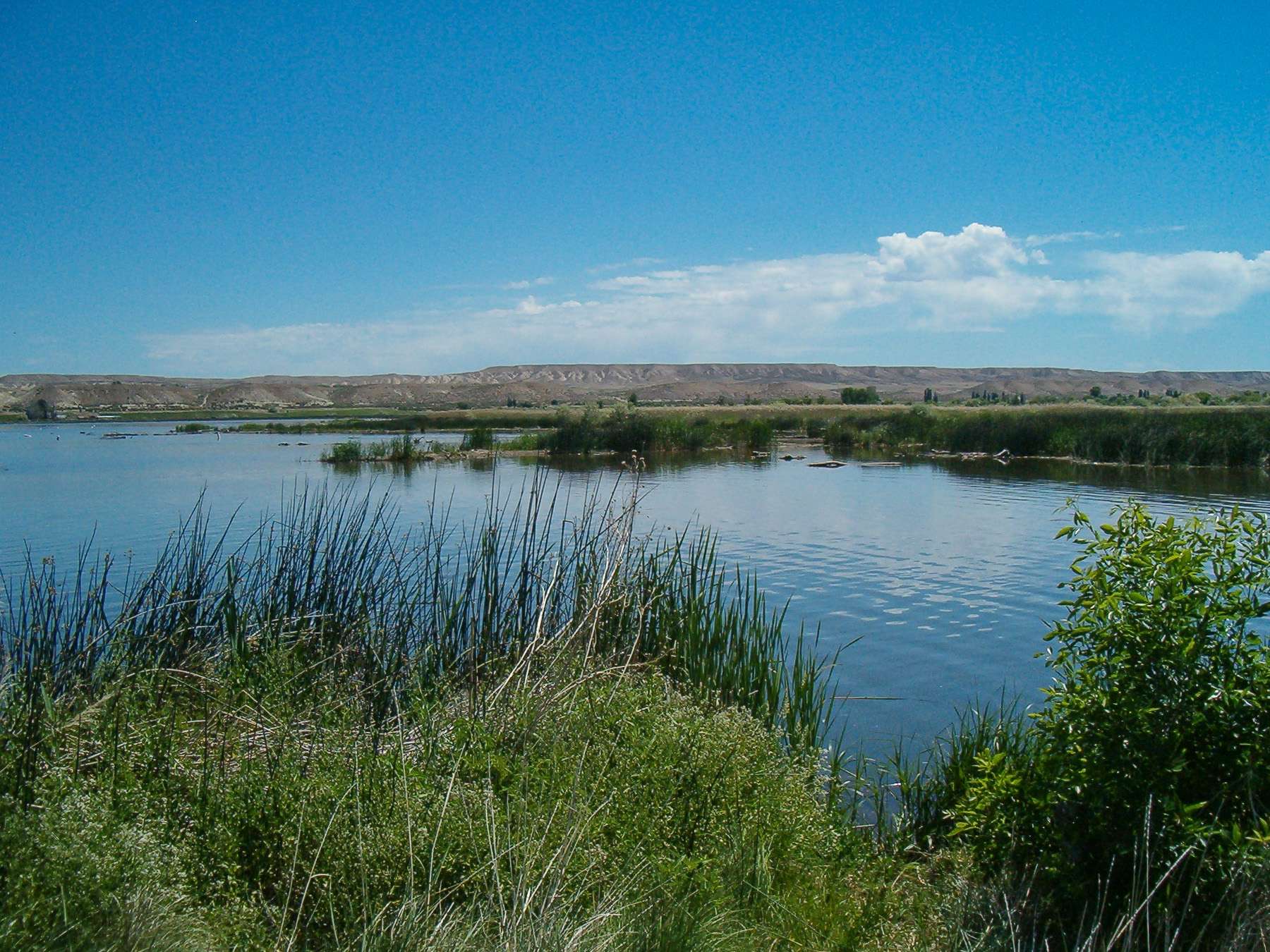 <h4>19. C.J. Strike Reservoir, Idaho </h4>[7,500 acres] Created by the damming of the Snake and Bruneau rivers, the relatively long and narrow arms of this high desert lake stay colder than other reservoirs in the region. Smallmouth make up the bulk of the catches here, with tournament Â­anglers who find a largemouth or two typically winning. Only one largemouth was brought to the scales during an Idaho Bassmasters pro-am contest in April, with the 5.42-pound bass good for big fish.
