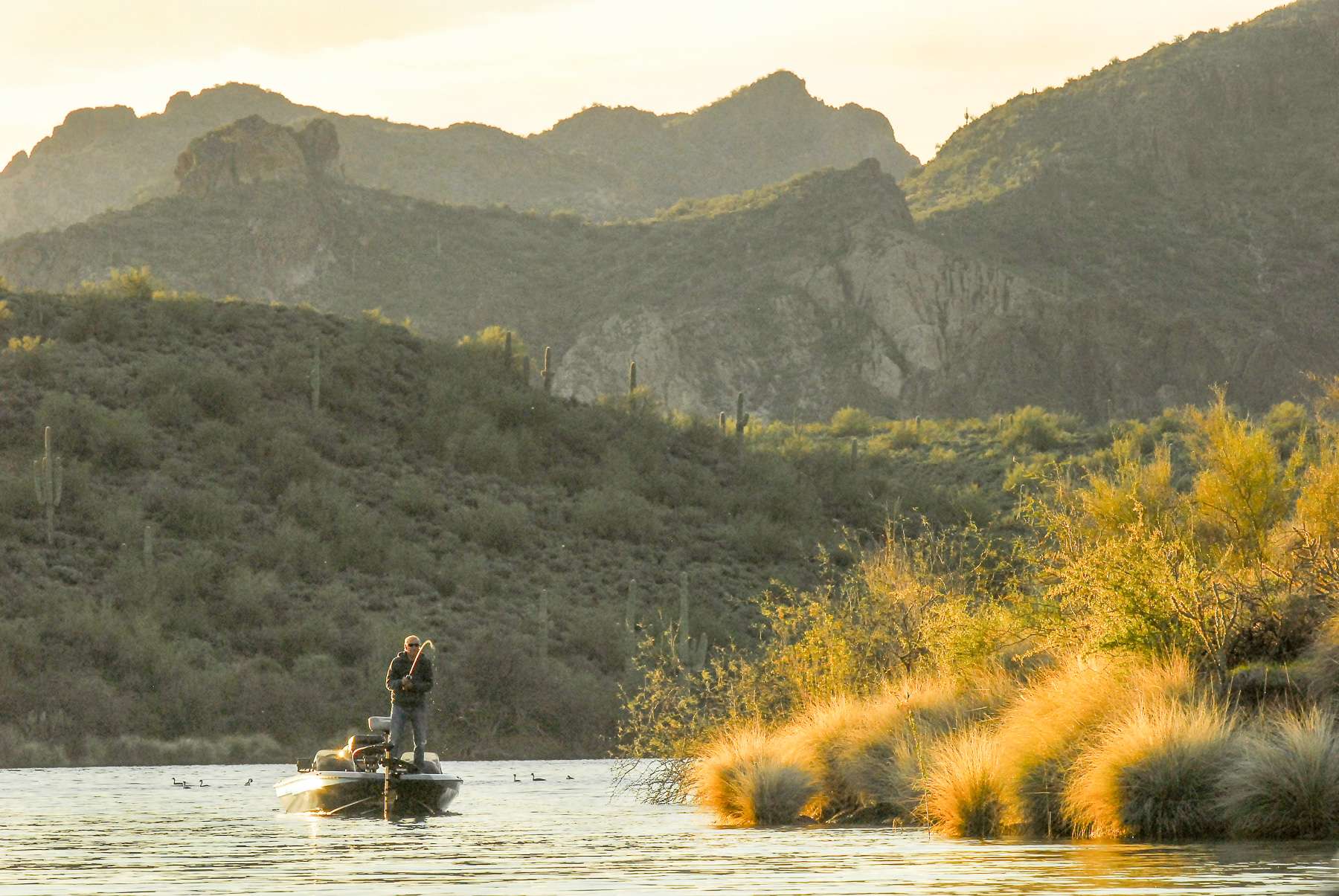 <h4>5. Saguaro Lake, Arizona</h4> [1,264 acres] The bass fishing at this Salt River impoundment can be tough at times, but when theyâre biting, youâll be glad you made the trip. Saguaro is known for quality before quantity, with the size of the largemouth steadily increasing over the past several years. And it doesnât look like that trend is ready to peak. Big bass at an April Midweek Bass Anglers team tournament weighed a whopping 9.35 pounds. It took 23.45 to win that event.