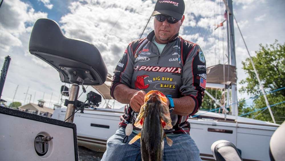 See some action shots from the weigh-in from the Bassmaster Elite at Champlain presented by Dick Cepek Tires & Wheels. 