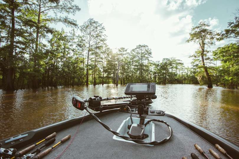  The Sabine River is full of Cypress Tree filled sloughs, making navigating them difficult at times. 