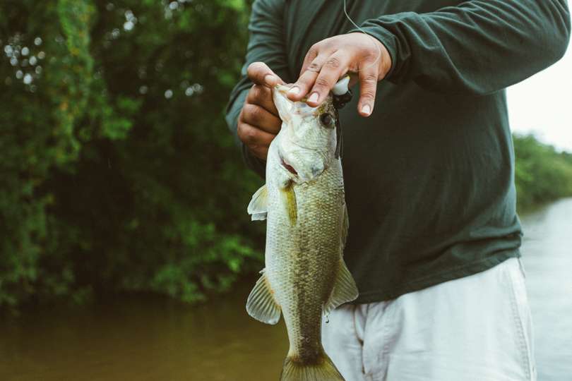  Robert catches a good one on a frog as he begins to put together a strategy for Day 1â¦.