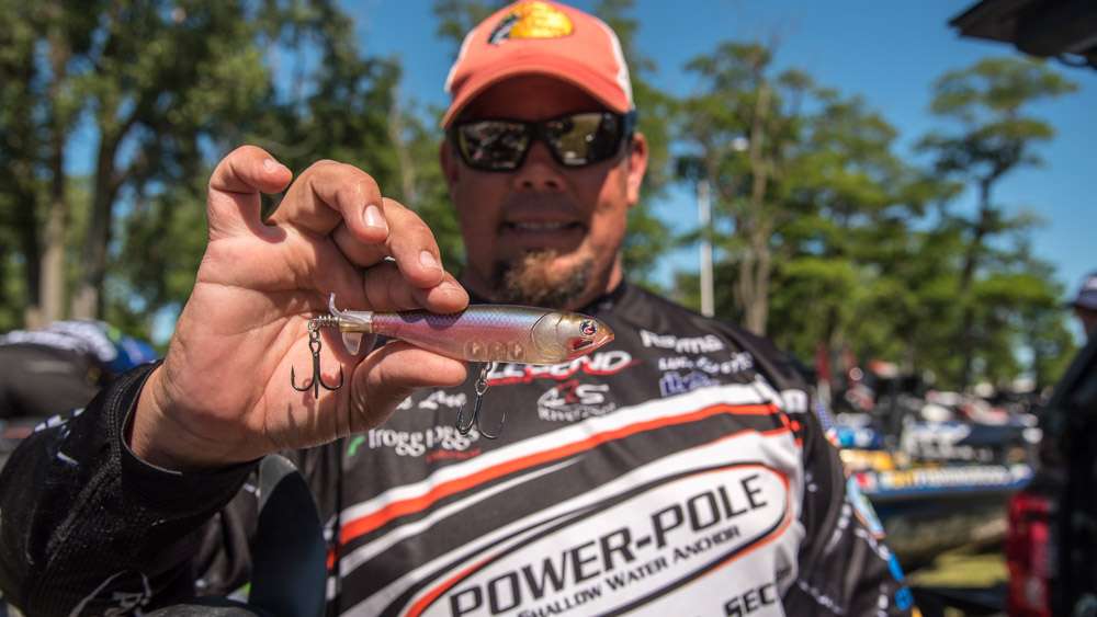 <b>Chris Lane</b><br> To finish 10th, Chris Lane used a new River2Sea Top Notch, Monkey Butt pattern. The lure is designed as a follow-up lure for the popular Whopper Plopper. 