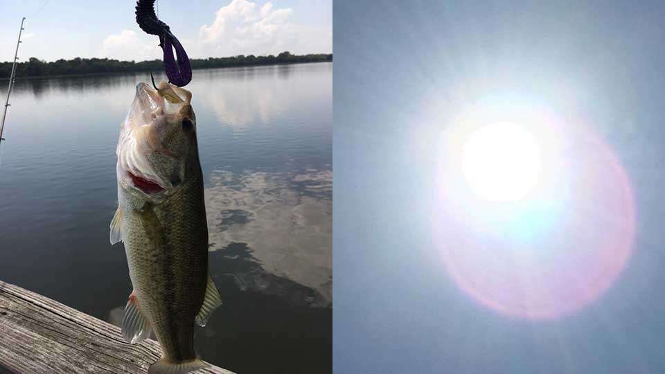 Bass media man Ron Wong showed off the bass he caught during the eclipse. âRage Tail Structure bug works well during eclipse,â he wrote.