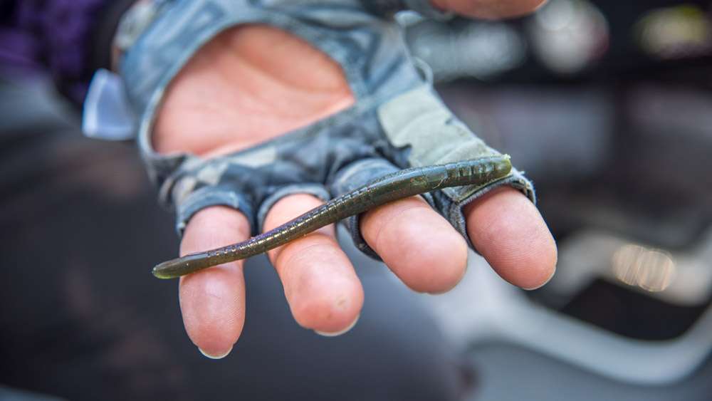 The winning bait was a 4.25-inch Roboworm Fat Straight Tail Worm, Aaronâs Magic/Red-Black Flake. A new No. 1 Gamakatsu G Finesse Heavy Cover Hook, and 1/4-ounce cylinder tungsten weight completed the rig. 
