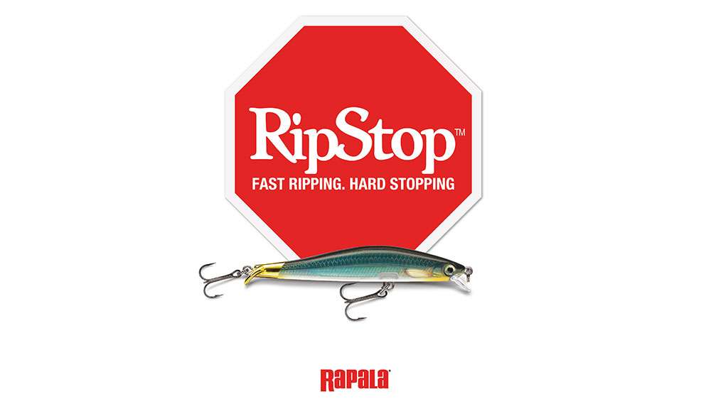 <p>Rapala RipStop</p>  <p>The RipStop is available in size 09 (3 1/2 inches) 1/4-ounce, dives 3 to 4 feet and comes in 14 colors. The RipStop tail design creates a fast-ripping, hard-stopping flashing swimbait action. Its forward motion stops on a dime, with a subtle shimmy before coming to rest, then ever so slightly lifts its head with a superslow rise. Cast and wind, wind and stop, twitch, snap, rip and suspend, fish it your favorite way for all species of gamefish. MSRP: $9.99 