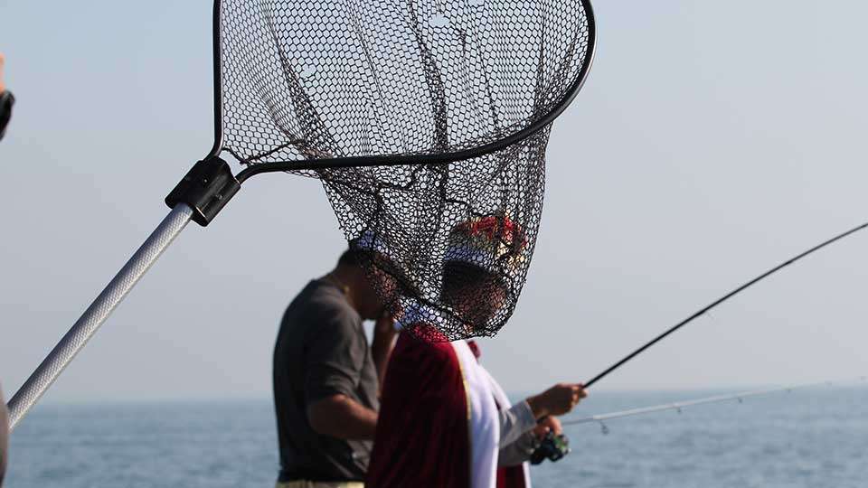 A request for a net is met by several on the nearby boats.