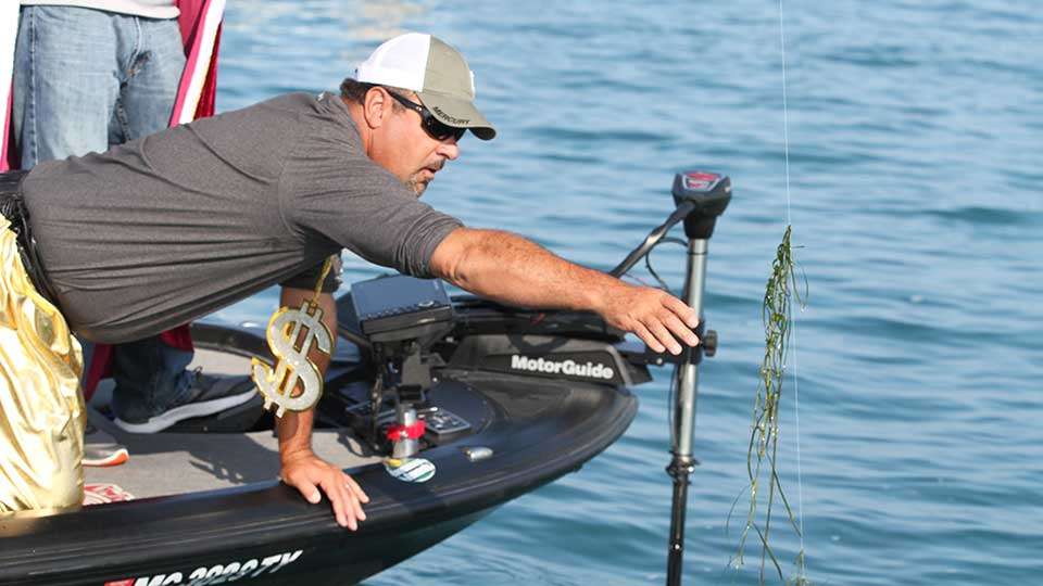 Zona clears the line of some grass. The fish is definitely the biggest ever hooked on a Zona LIVE, and the largest freshwater fish Lee has ever had on the line.