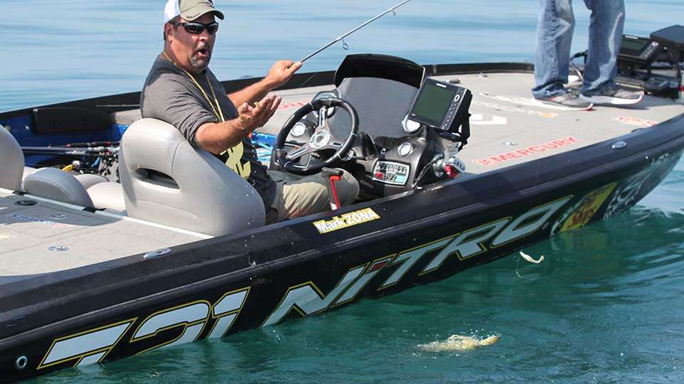 Zona brings a smaller bass to the boat and grabs one of the baitfish it spit out to show viewers.