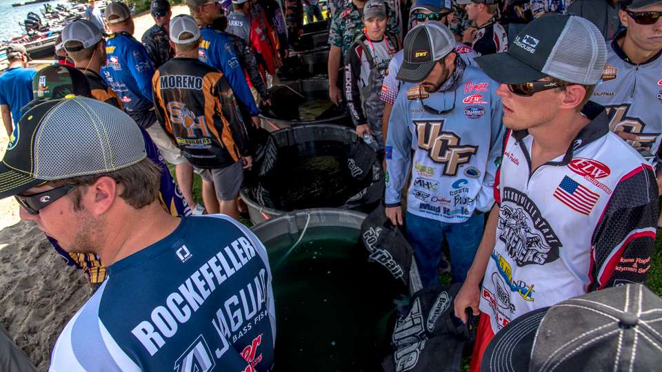 Once the teams have retrieved the fish from their boats, they place them in tubs filled with water directly from the lake as well a solution used to keep the fish healthy and calm during the weigh-in process.