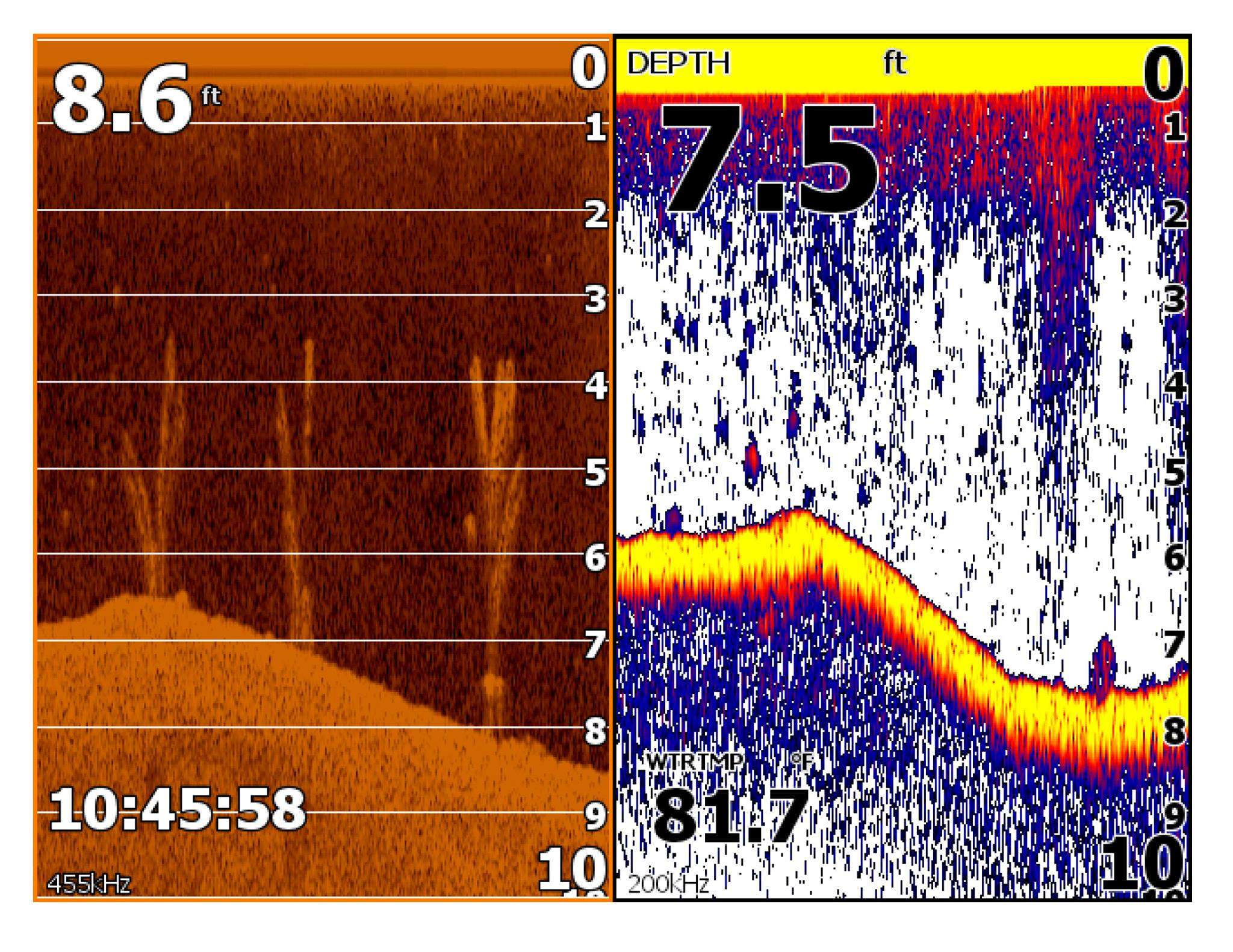 Sonar and DownScan image showing tarantula blocks.
