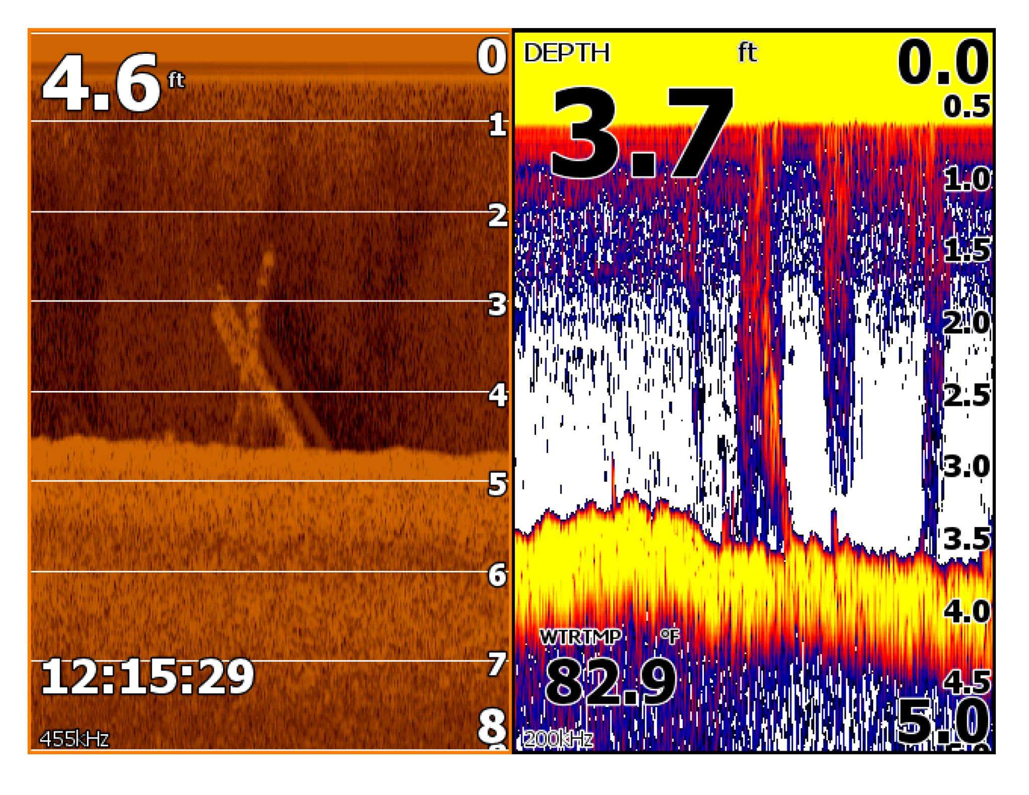 Sonar and DownScan images showing BASSJax.