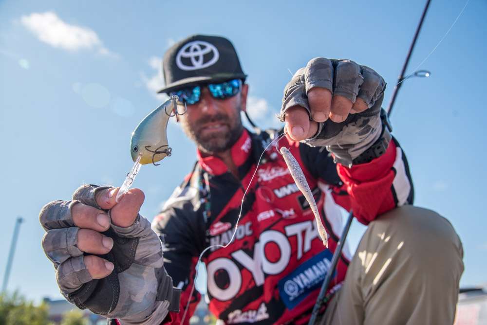 Michael Iaconelli chose a Rapala DT 14 to reach a high spot at 14 feet of bottom. He made the drop shot with a new Berkley PowerBait Maxscent Flat Nosed Minnow. A No. 1 VMC Ike Approved Hook and 3/8-ounce VMC Ike Tungsten Drop Shot Cylinder Weight completed the rig. 
