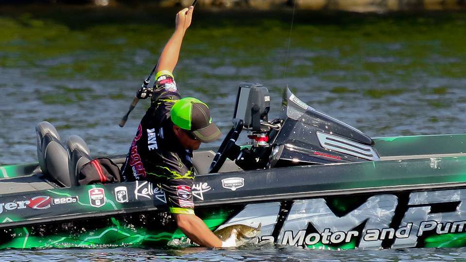 Jaye had the best season of his career in 2017, making two Top 12 cuts and five checks. On his way to his 10th-place finish at the Toyota Bassmaster Texas Fest, Jaye lit up Bassmaster LIVE â catching two fish on one cast. 
