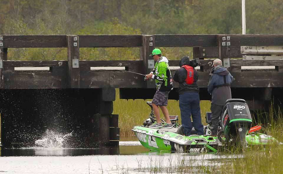 The lack of that fish, along with Iaconelliâs strong showing, forced an elimination of Avena.