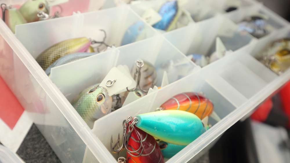 These lures have been instrumental for quite a few years. They are durable, tasty looking and ... 