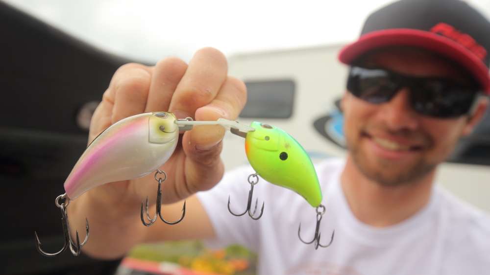 The line-tie system and circuit-board lip combination actually help the bait to self-tune. Meaning right out of the box they swim perfectly, and when they deflect off of wood or rock, they immediately swim correctly. That just adds to the temptation for following bass. Here he's holding the Arashi Square 3 and Square 5.